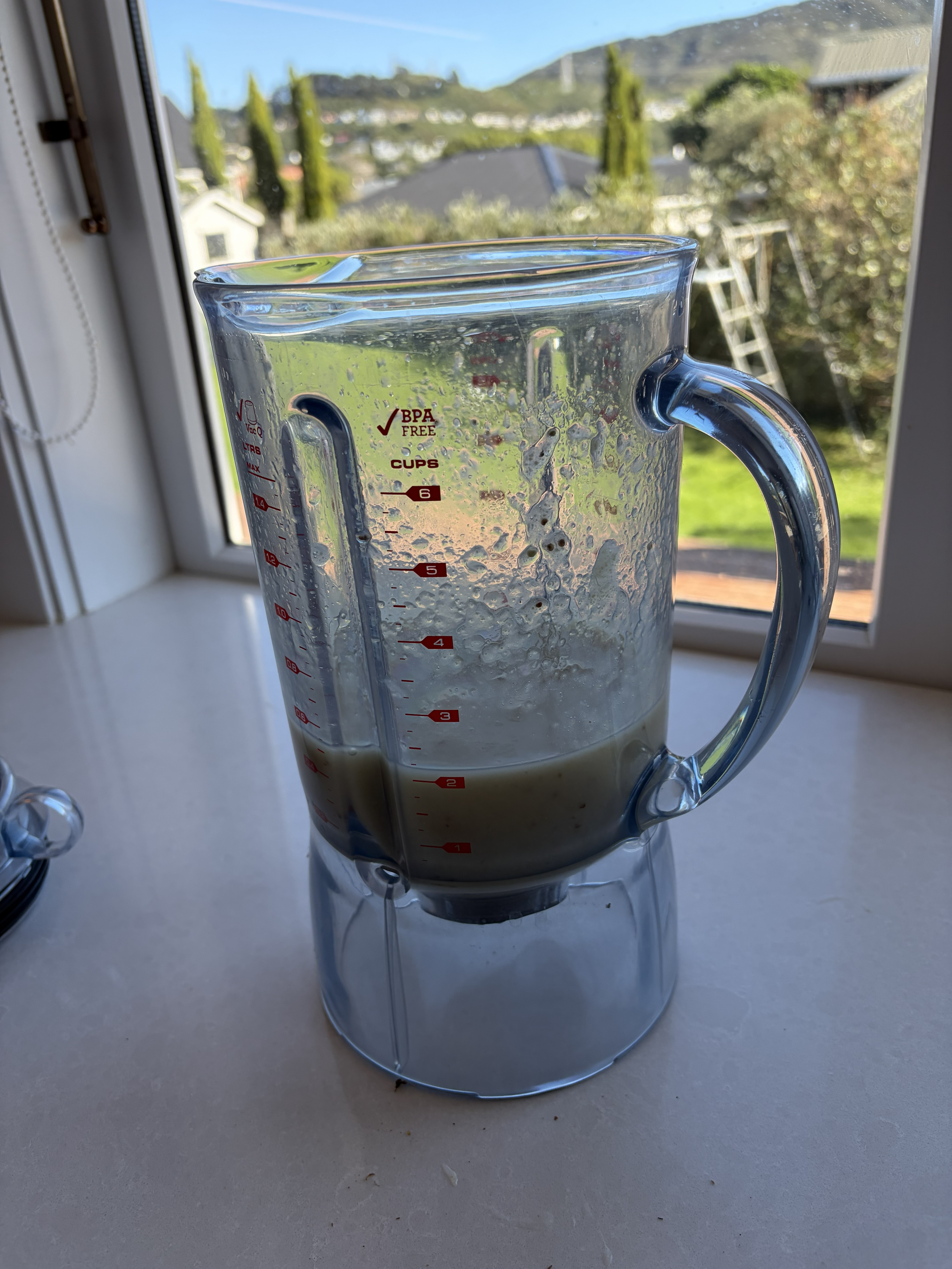 Feijoa flesh blended smooth and ready to use