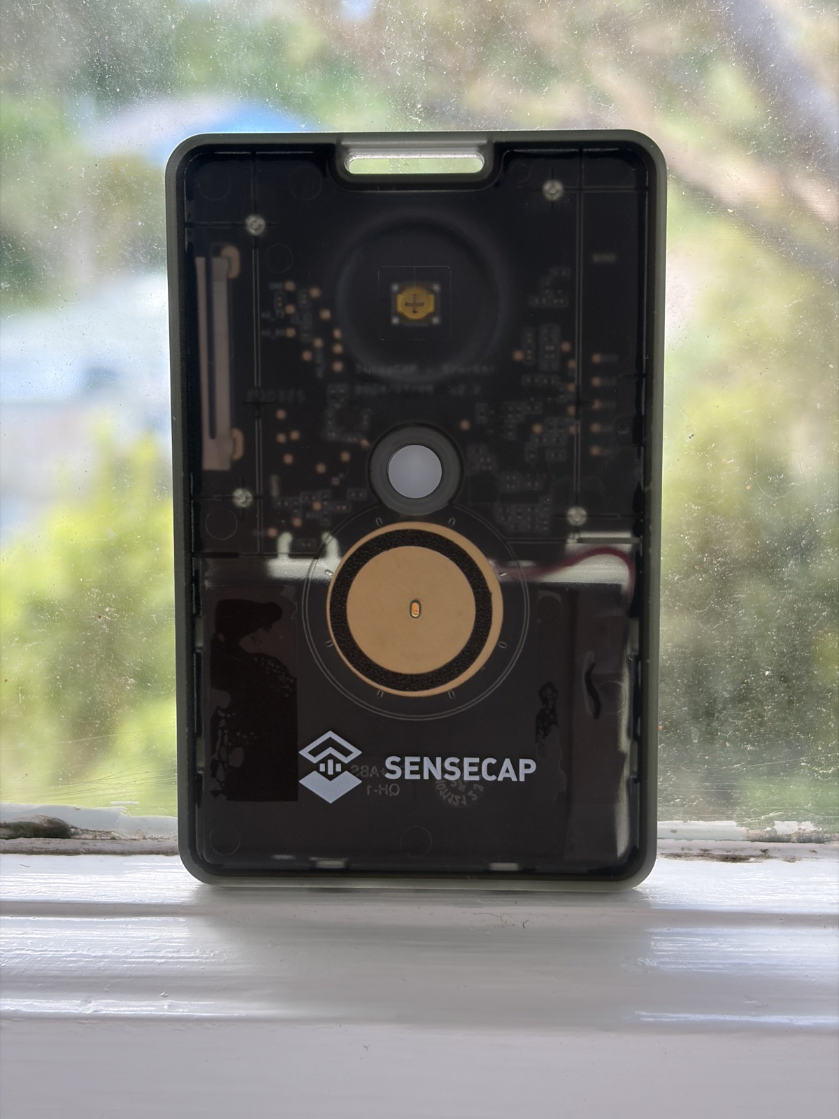 A SenseCAP T1000-E tracker card standing upright on a white windowsill, its translucent case showing the circuit board and circular antenna inside, with green trees blurred through the window behind it